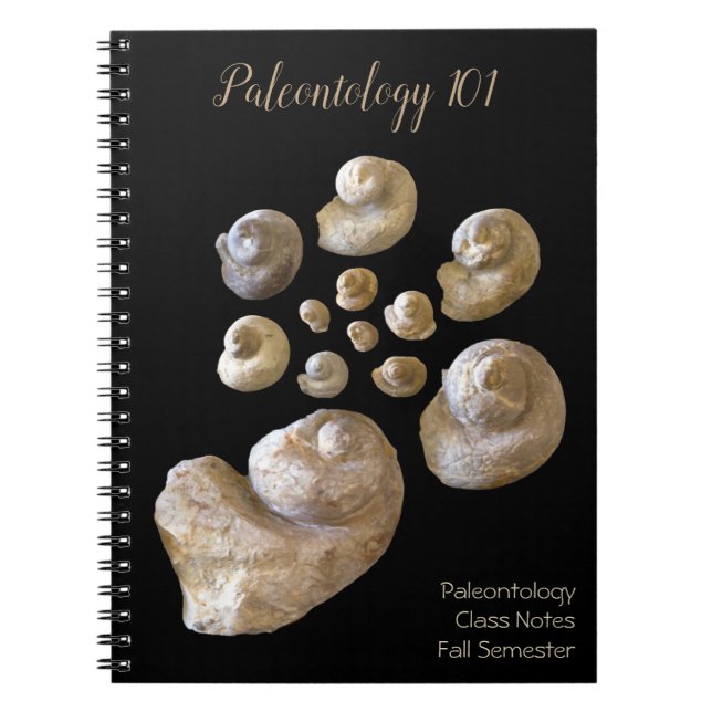 Schnecke Fossils Rock Foto Paleontologie Nr. Notizblock (Vorderseite)