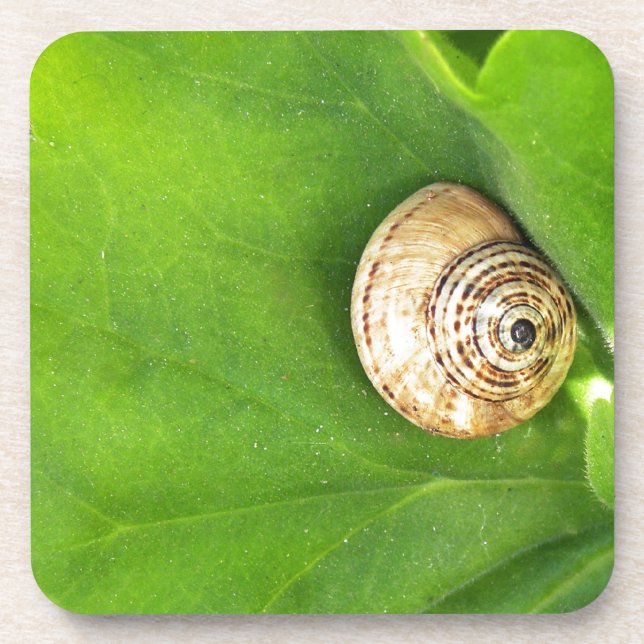 Schnecke Getränkeuntersetzer (Vorderseite)