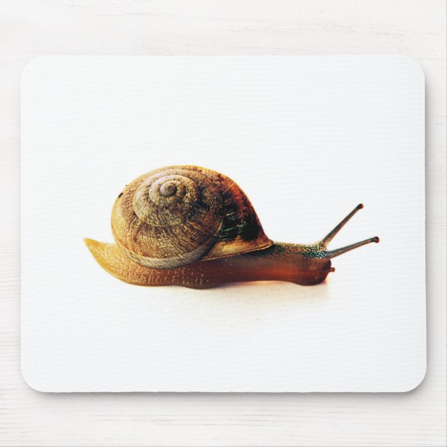 Schnecke Mousepad (Vorne)
