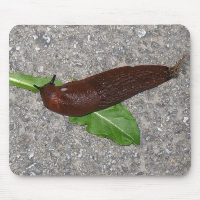 Schnecke Mousepad (Vorne)