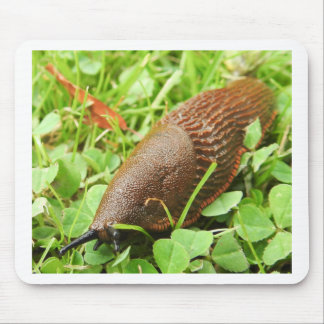 Schnecke Mousepad