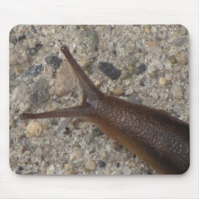 Schnecke Mousepad (Vorne)