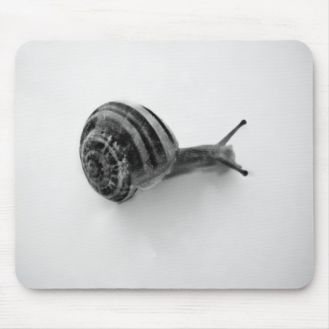 Schnecke Mousepad (Vorne)