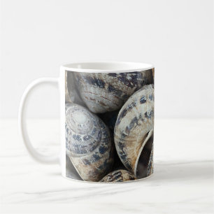 Schnecke-Muscheln Tasse