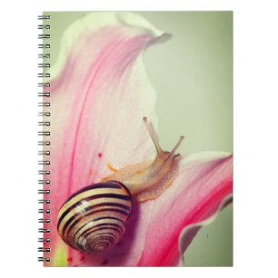 Schnecke Notizblock