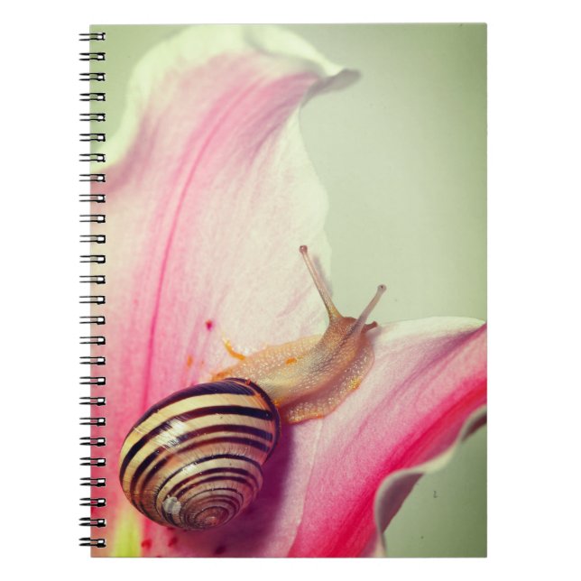 Schnecke Notizblock (Vorderseite)