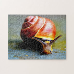 Schnecke Puzzle