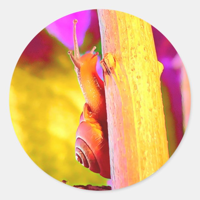 Schnecke Runder Aufkleber (Vorderseite)