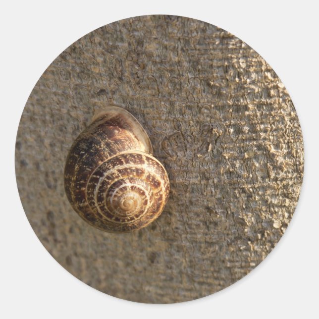 Schnecke Runder Aufkleber (Vorderseite)
