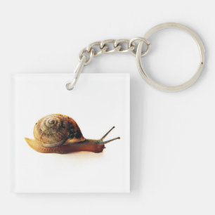 Schnecke Schlüsselanhänger