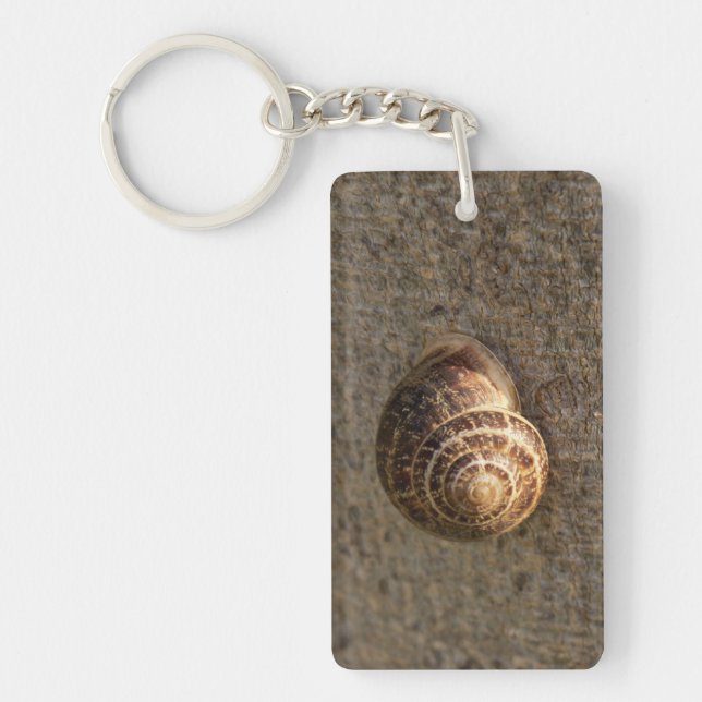 Schnecke Schlüsselanhänger (Vorderseite)