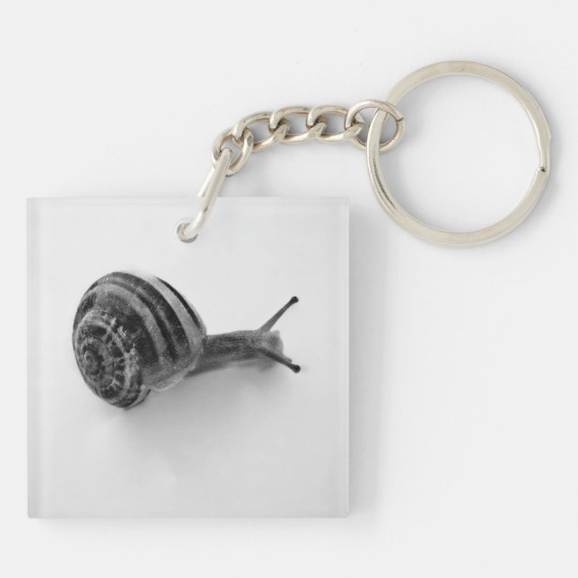 Schnecke Schlüsselanhänger (Rückseite)