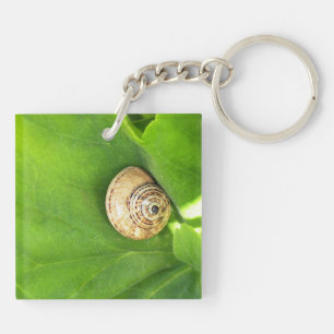 Schnecke Schlüsselanhänger