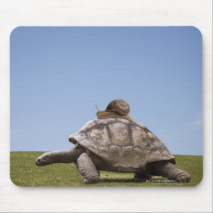 Schnecke über einer Schildkröte Mousepad