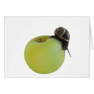 Schnecke und Apfel