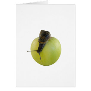 Schnecke und Apfel