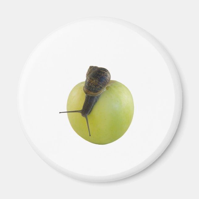 Schnecke und Apfel Magnet (Vorne)
