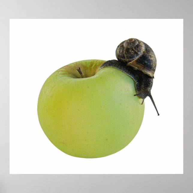 Schnecke und Apfel Poster (Vorne)