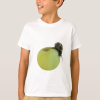 Schnecke und Apfel