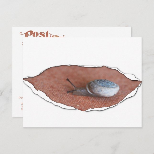 Schnecke unter Torfmaterial Postkarte (Vorne/Hinten)