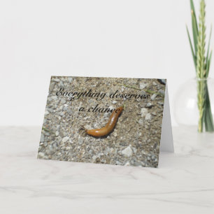 Schnecke-Verdient eine Möglichkeit Karte