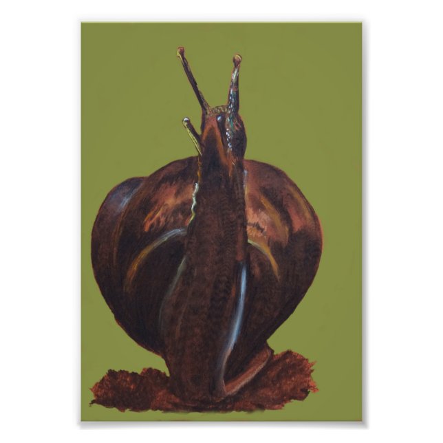 Schnecke Zeichnend Kodak Beruflich Foto Paper (Vorne)