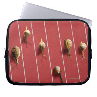 Schnecken auf dem Lastwagen Laptopschutzhülle