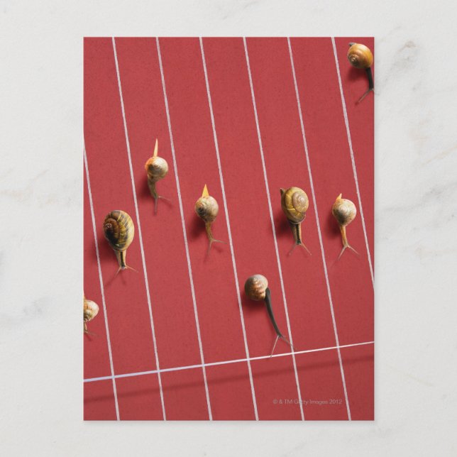 Schnecken auf dem Lastwagen Postkarte (Vorderseite)