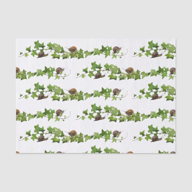 Schnecken aus Ivy-Gewebe Seidenpapier (Vorderseite)