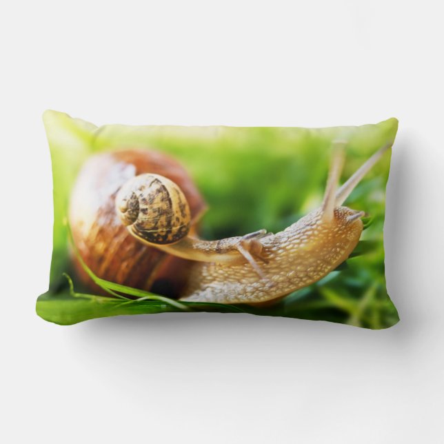 Schnecken Lendenkissen (Vorderseite)