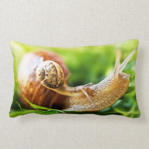 Schnecken Lendenkissen
