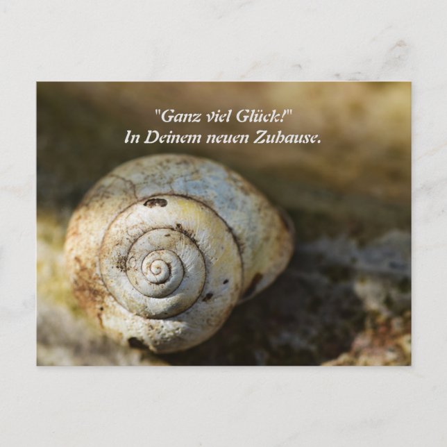 Schneckenhaus Postkarte (Vorderseite)