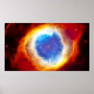 Schneckennebelfleck Poster
