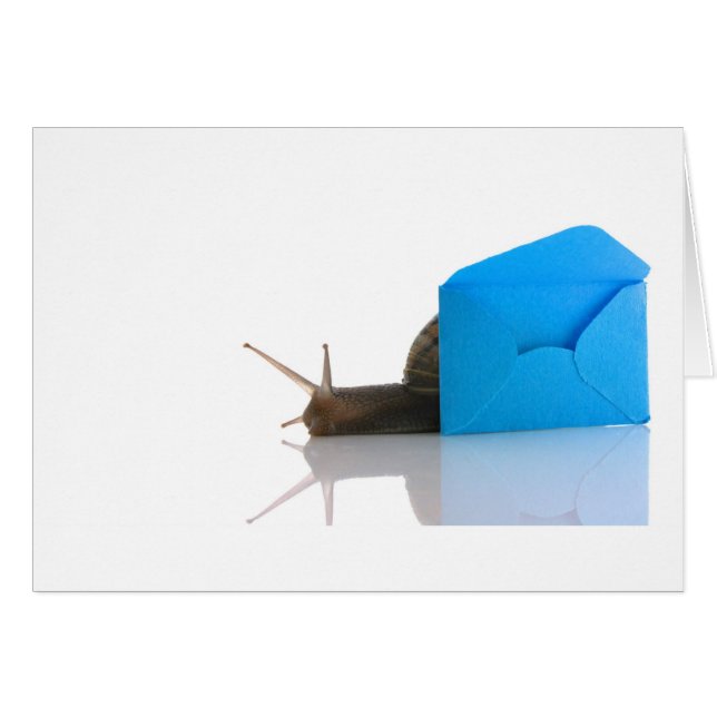 Schneckenpost (Vorderseite (Horizontal))