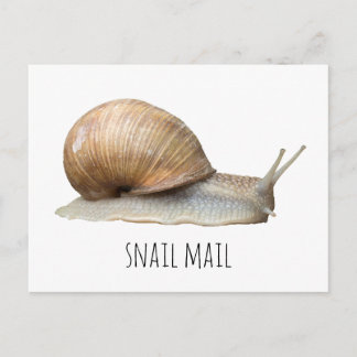 Schneckenpost Postkarte