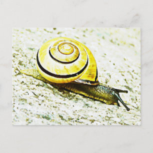 Schneckentempo Postkarte