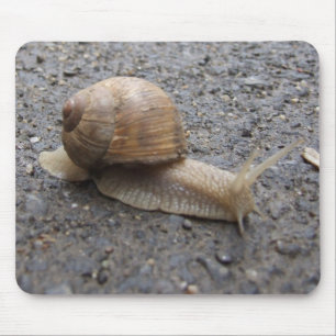 Schneckenwanderung Mousepad