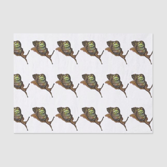 SchneckeSeidenpapier Seidenpapier (Vorderseite)