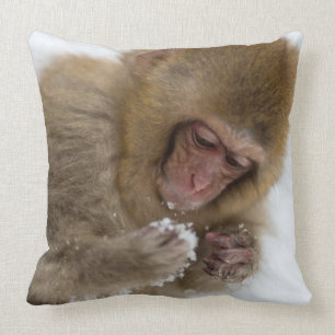 Schnee-Affe Babyjapanischer Macaque-  Kissen