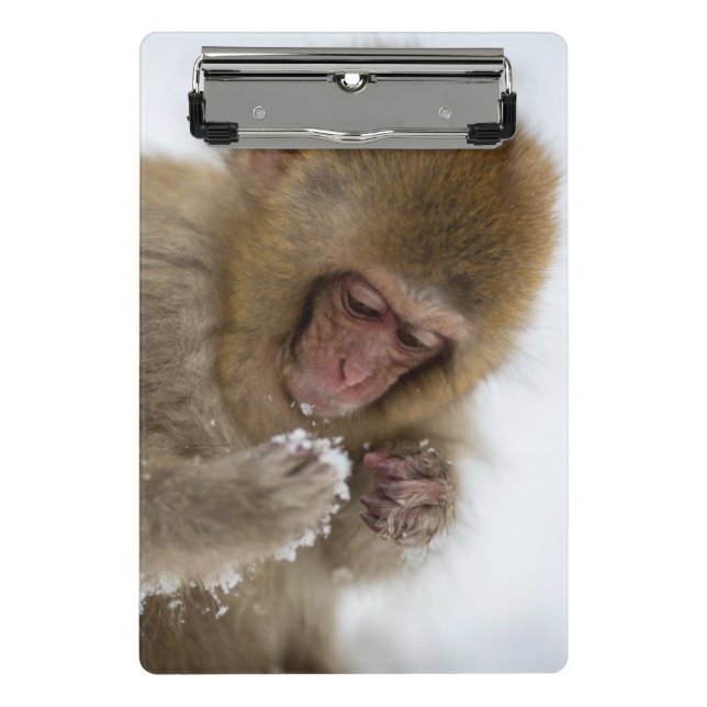 Schnee-Affe Babyjapanischer Macaque-| Mini Klemmbrett (Vorderseite)