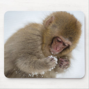 Schnee-Affe Babyjapanischer Macaque-  Mousepad