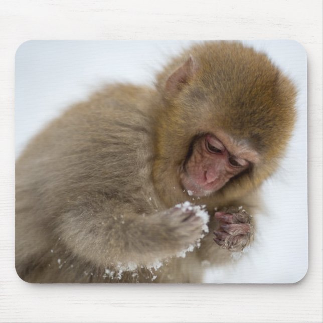 Schnee-Affe Babyjapanischer Macaque-| Mousepad (Vorne)