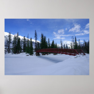 Schnee am Simpson River Trailhead Kootenay River Poster