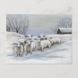 Schnee-Art-Postkarte Postkarte