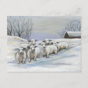 Schnee-Art-Postkarte Postkarte
