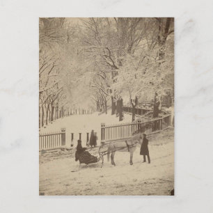 Schnee auf Boston Common Postkarte