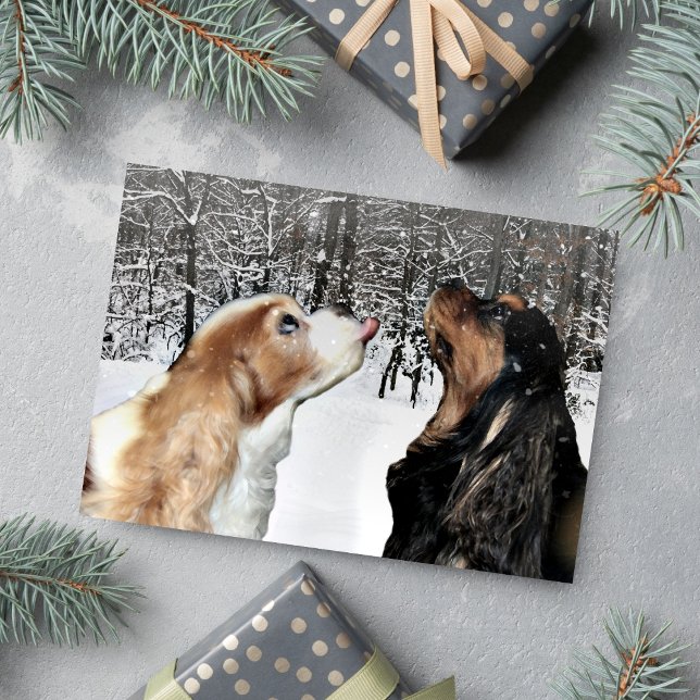 Schnee auf Cavalier King Charles Spaniel Card Feiertagskarte (Catching snowflakes Cavaliers for a Christmas greeting. )
