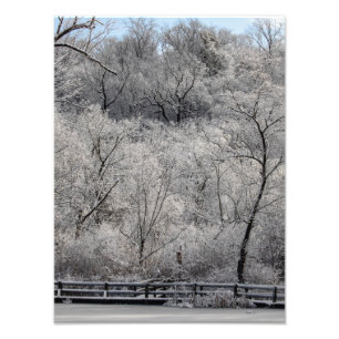 Schnee auf dem Teich Fotodruck