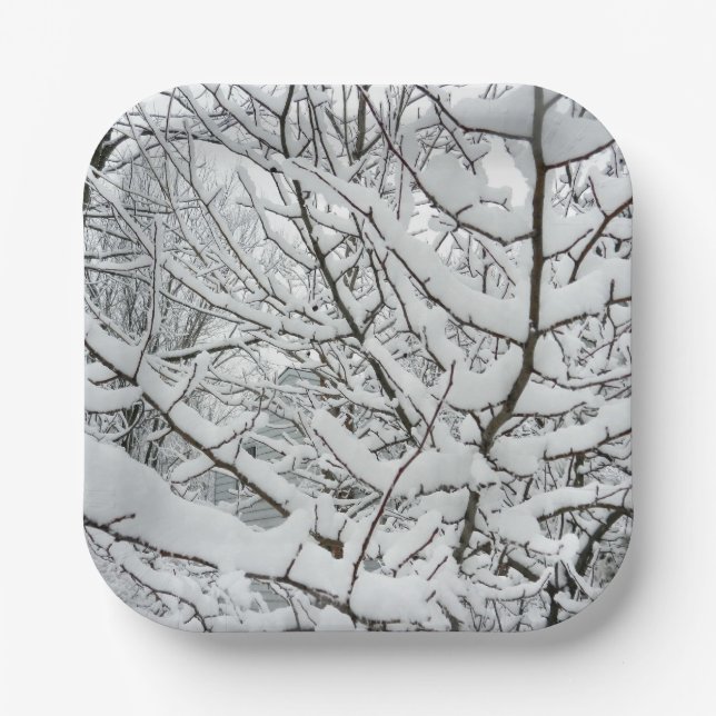 SCHNEE AUF DEN BRANCHEN PAPPTELLER (Vorderseite)