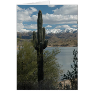 SCHNEE AUF DEN KÜSTEN